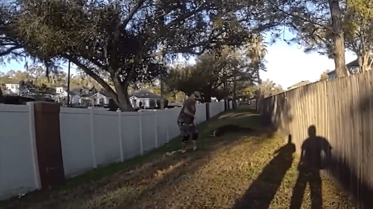 9-foot alligator discovered and captured in Hillsborough County