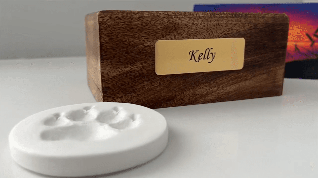 Dog dies in sitter’s care