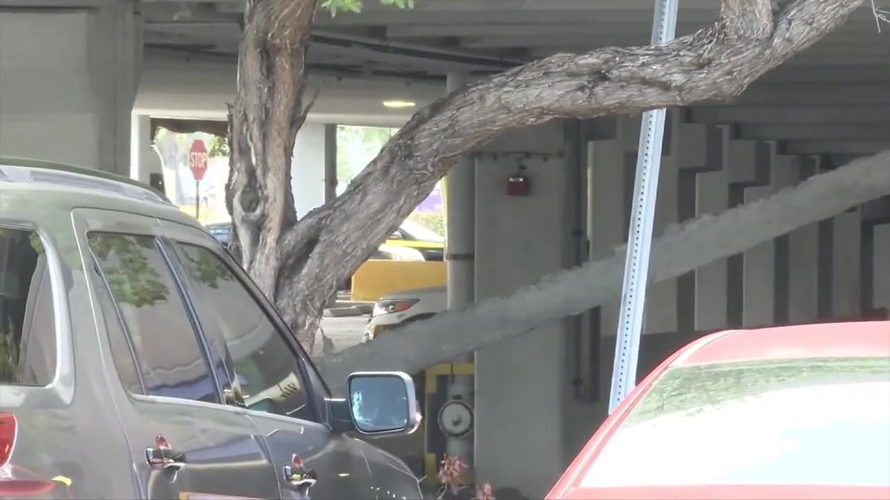 Driver hits pipe, forcing closure of Port Miami Garage D