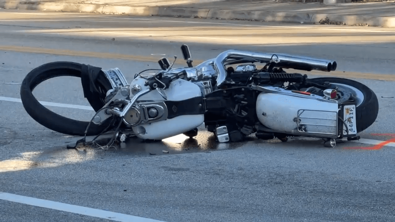 Motorcyclist dead after losing control and striking tree in Hollywood