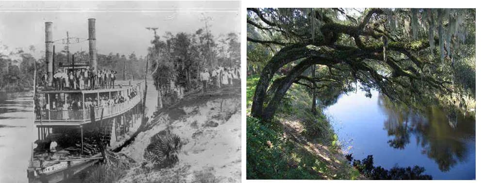The Suwannee River: Vibrant History And Location