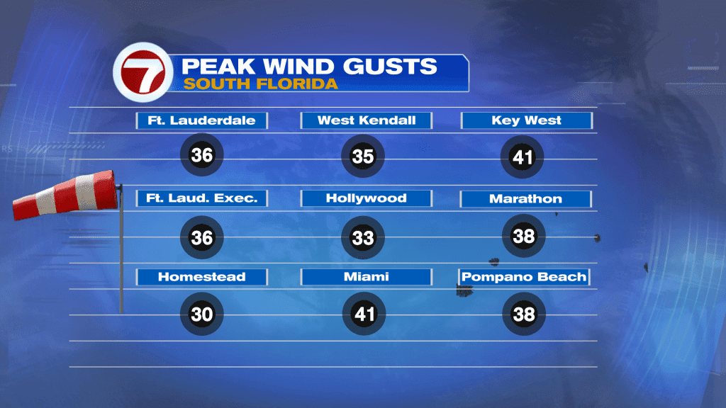 Walloping Winds