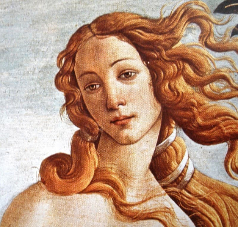 Renaissance Aesthetics and Laser, LLC