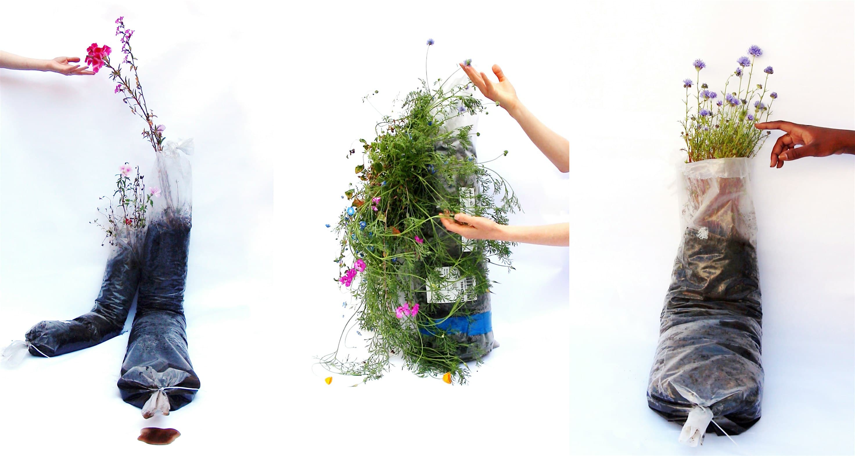 Alicia Escott at Teknion: Artist Talk and Conversation