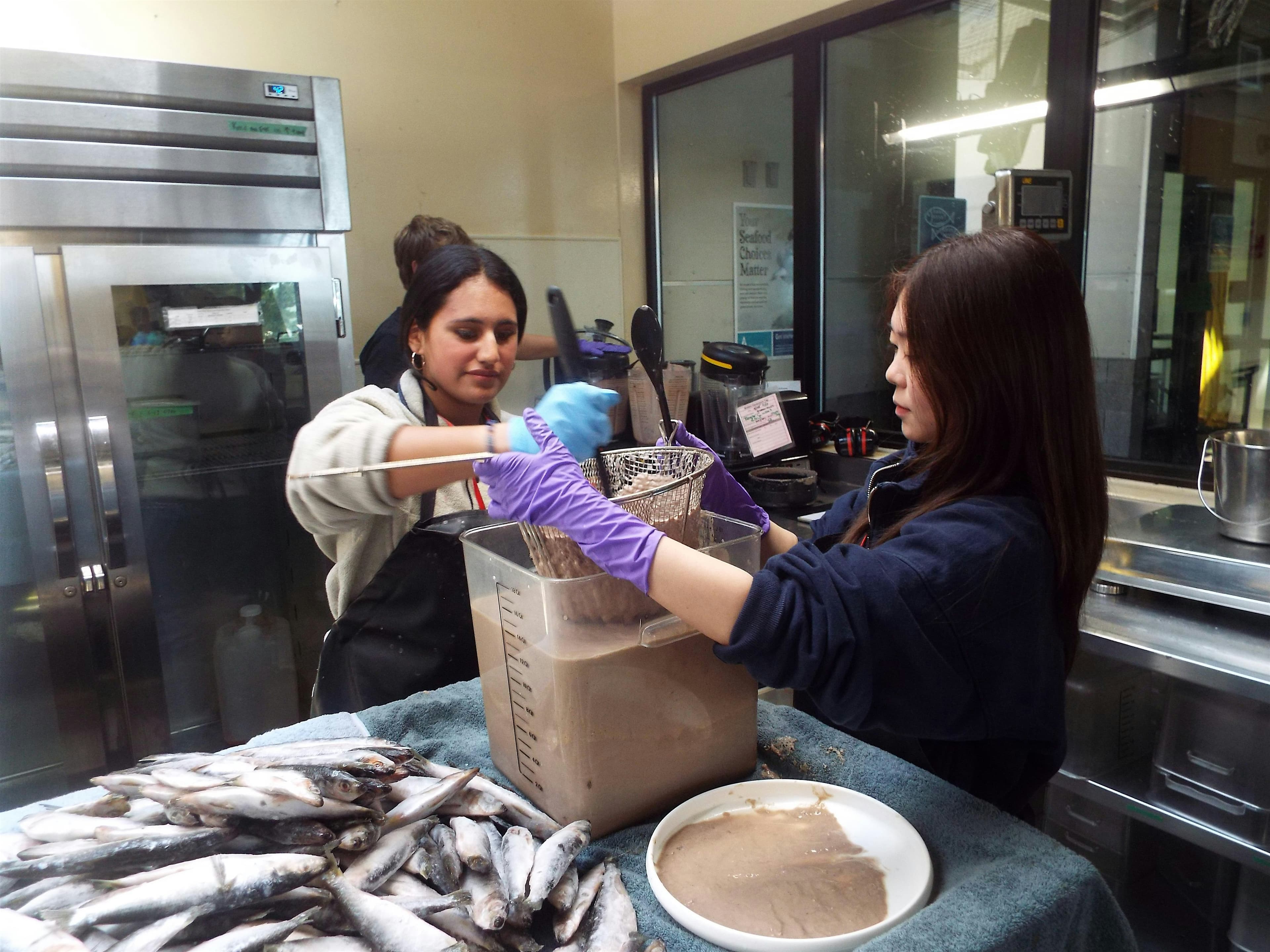 Stewardship Thursday: Experiencing Fish Kitchen