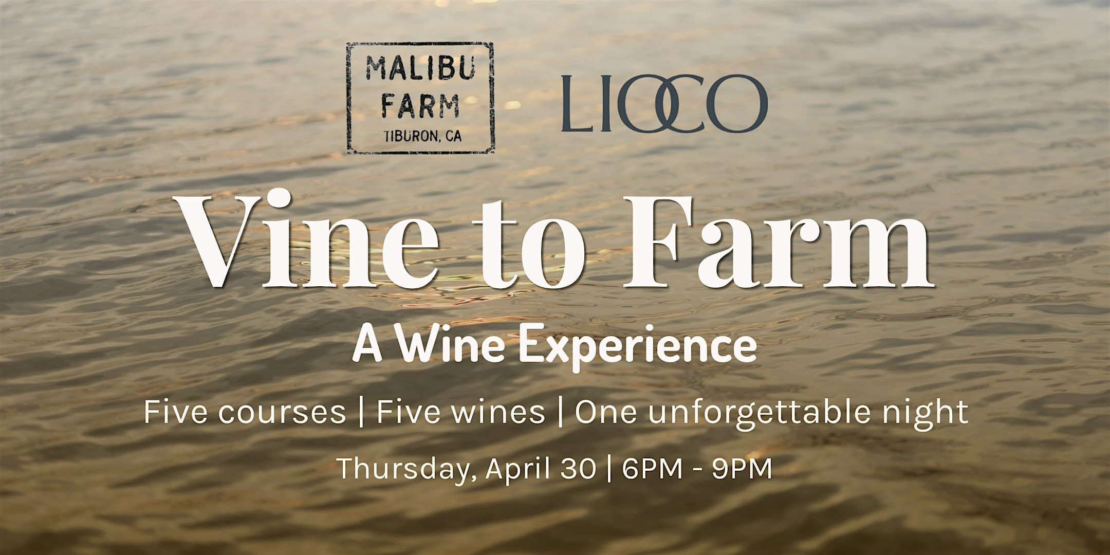 Vine to Farm: A Wine Experience
