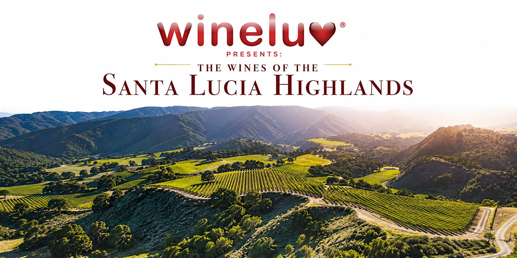Wineluv Presents: The Wines of the Santa Lucia Highlands