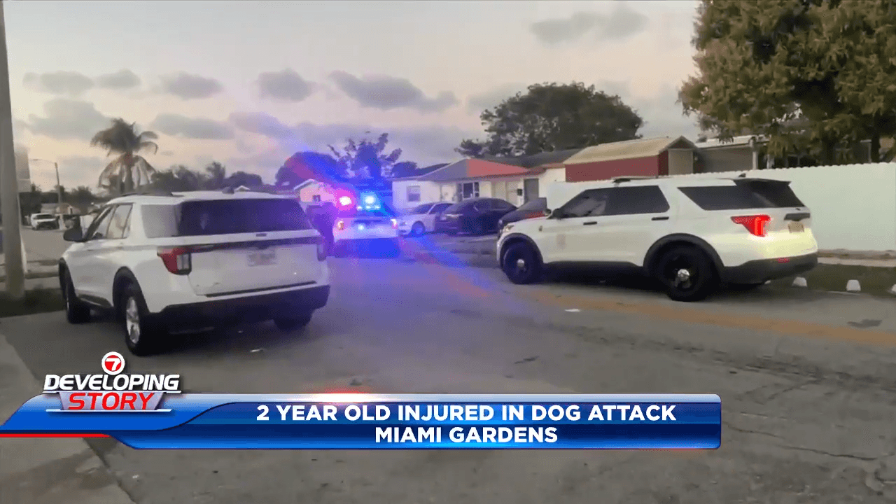 2-year-old rushed to hospital after being attacked by pair of dogs in Miami Gardens home