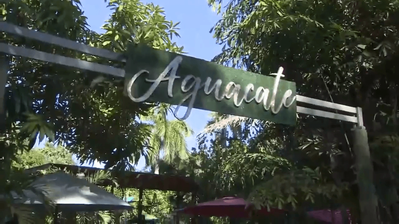 Aguacate Garden of Love reopens after hiatus bringing delicious vegan meals and mindfulness workshops in Miami