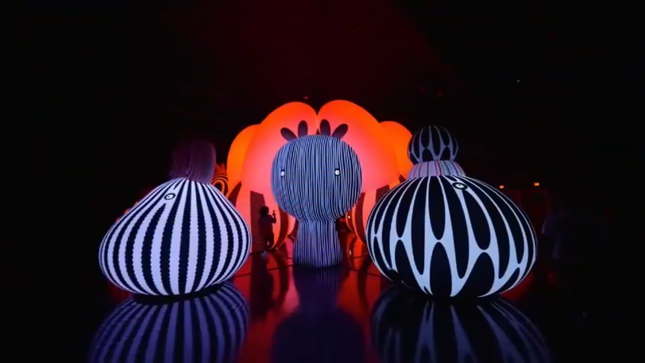 Balloon Museum in Wynwood brings new exhibition focused on interactive and inflatable artwork