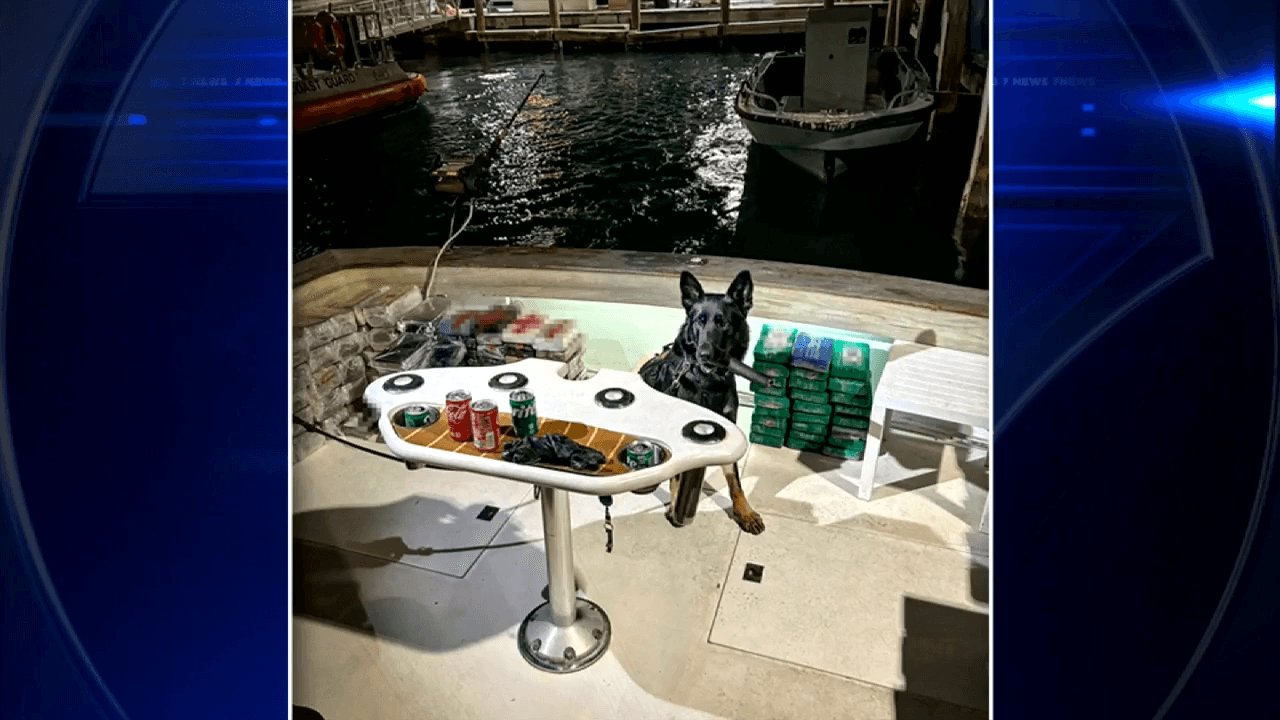 CBP: Over 1,000 pounds of cocaine seized off South Florida coast