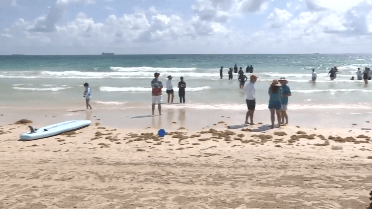 Children with autism work on swimming skills and learn surfing during joint event in Miami Beach