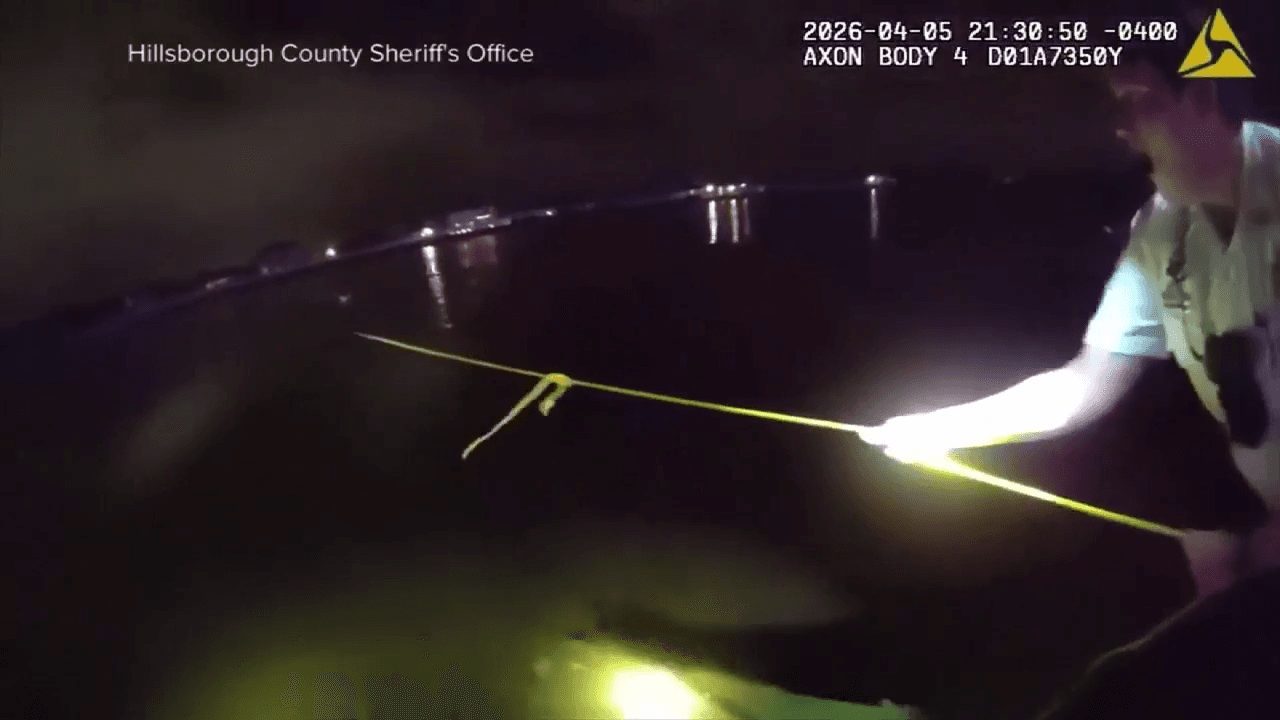 Deputies pull woman from submerged car in retention pond near Tampa