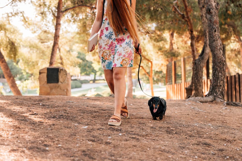 ER Visits for Tick Bites Highest in Over a Decade. How to Protect Yourself