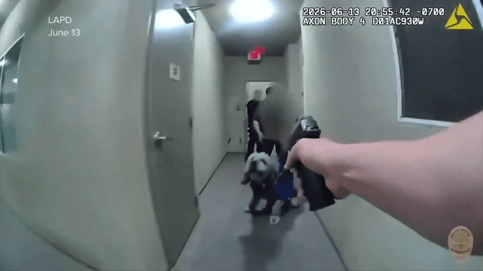 Family dog shot and killed by LAPD during Knicks celebration at condo in Los Angeles