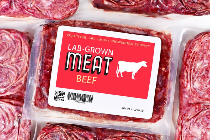 Federal Appellate Panel Upholds Florida’s Ban On Lab-Grown Meat