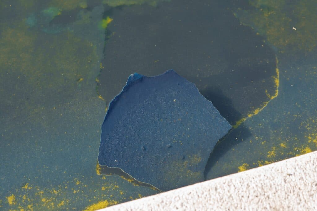 Federal Prosecution Targets Olympian Over National Mall Vandalism (Video)