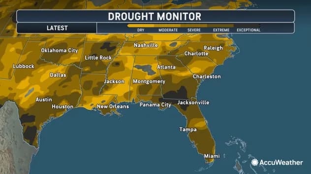 Florida Drought Relief: Slow-Moving Storm System Poised to Drench State and Diminish Growing Wildfire Threats