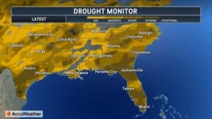 Florida Rain to Bring Temporary Relief to Parched Southeast as Fire Danger Looms