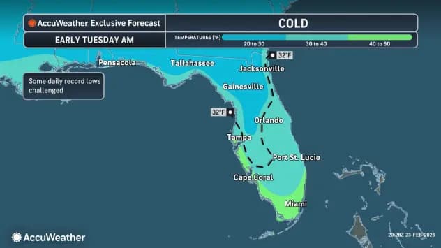 Florida Shivers as Cold Blast Ends Record Heat and Sparks Wildfire Alerts (Video)