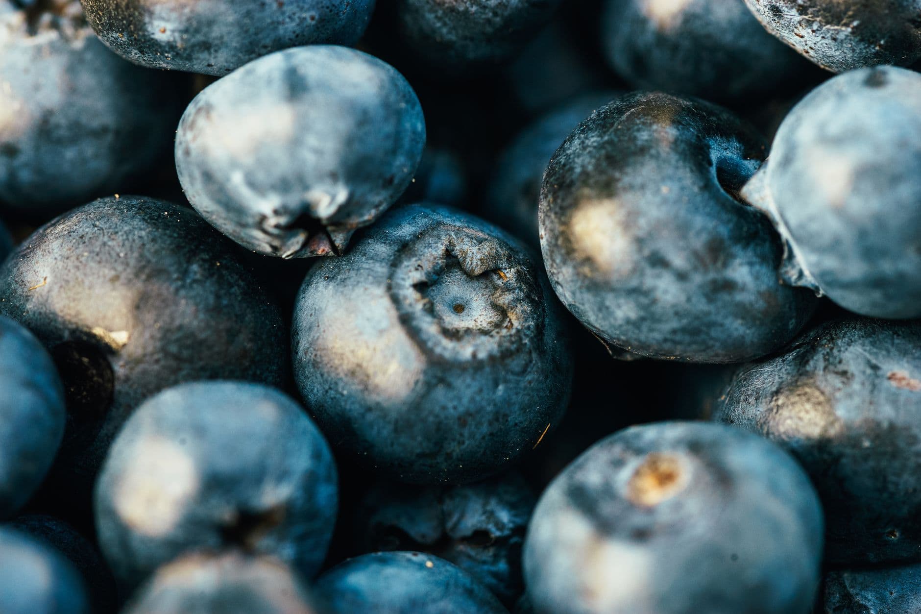 Frozen Blueberries Recalled in 8 States After Being Linked to E. Coli Outbreak