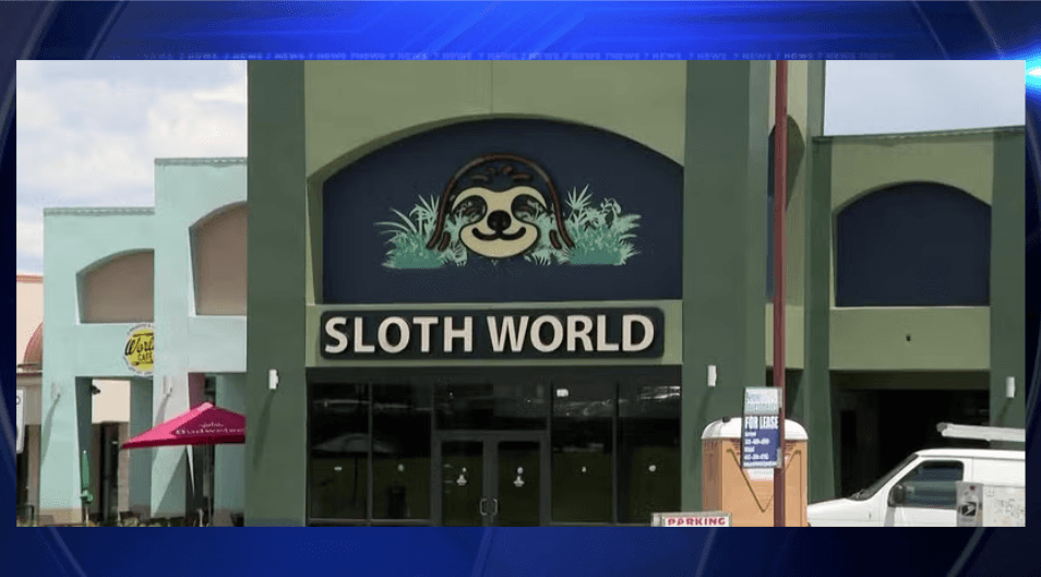 FWC investigation finds dozens of sloths died before Orlando attraction opening