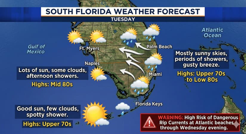 Gemini said South Florida Faces Breezy Week with Passing Showers and Dangerous Rip Currents