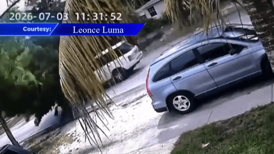 Man hospitalized after lightning knocks tree down onto car in North Miami