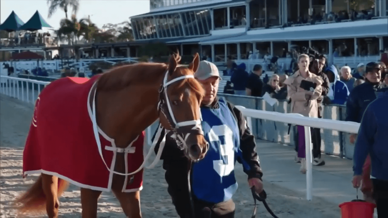 Miami-based horse owner enters 75th annual Curlin Florida Derby to race for a cause