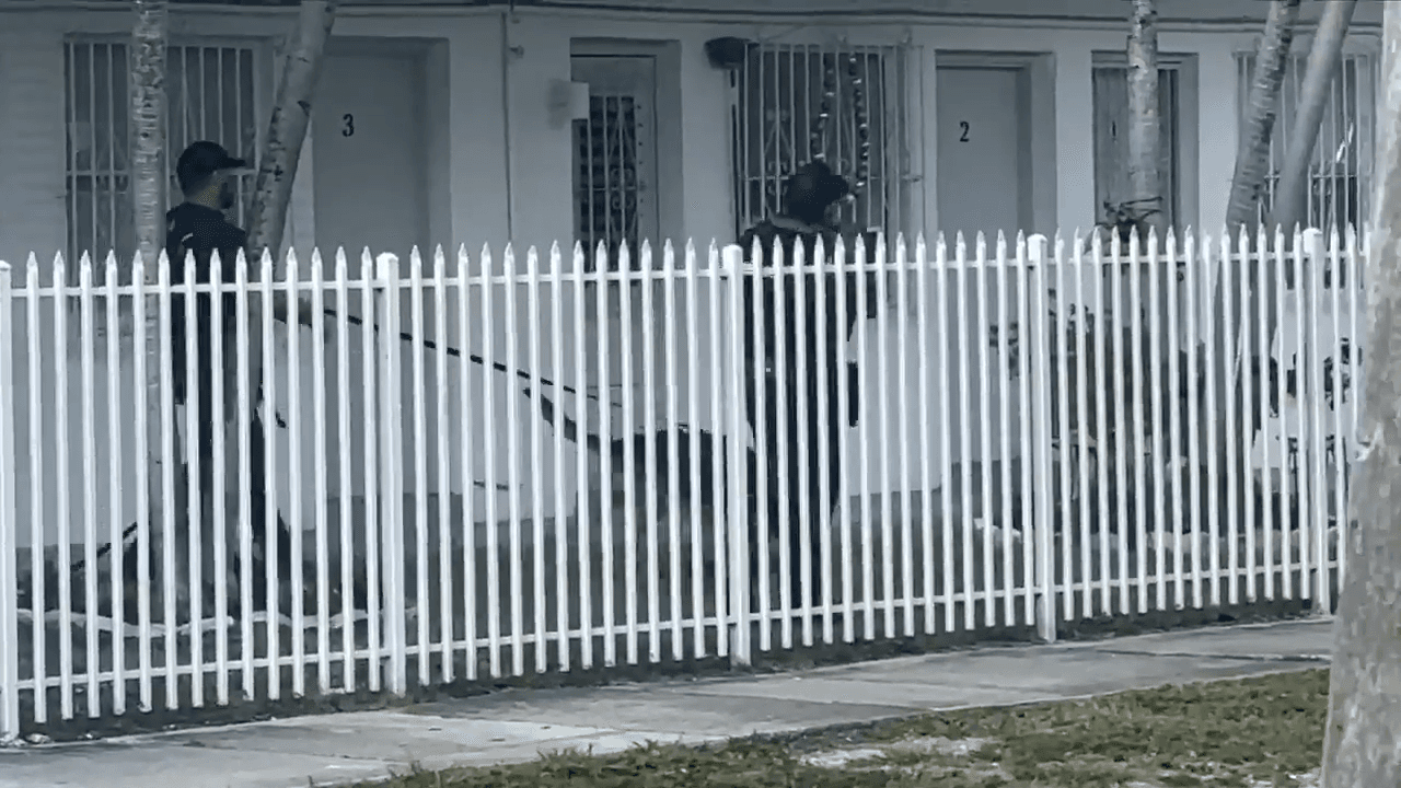 Miami Police detain subject amid search for armed robber who stole watch during sale