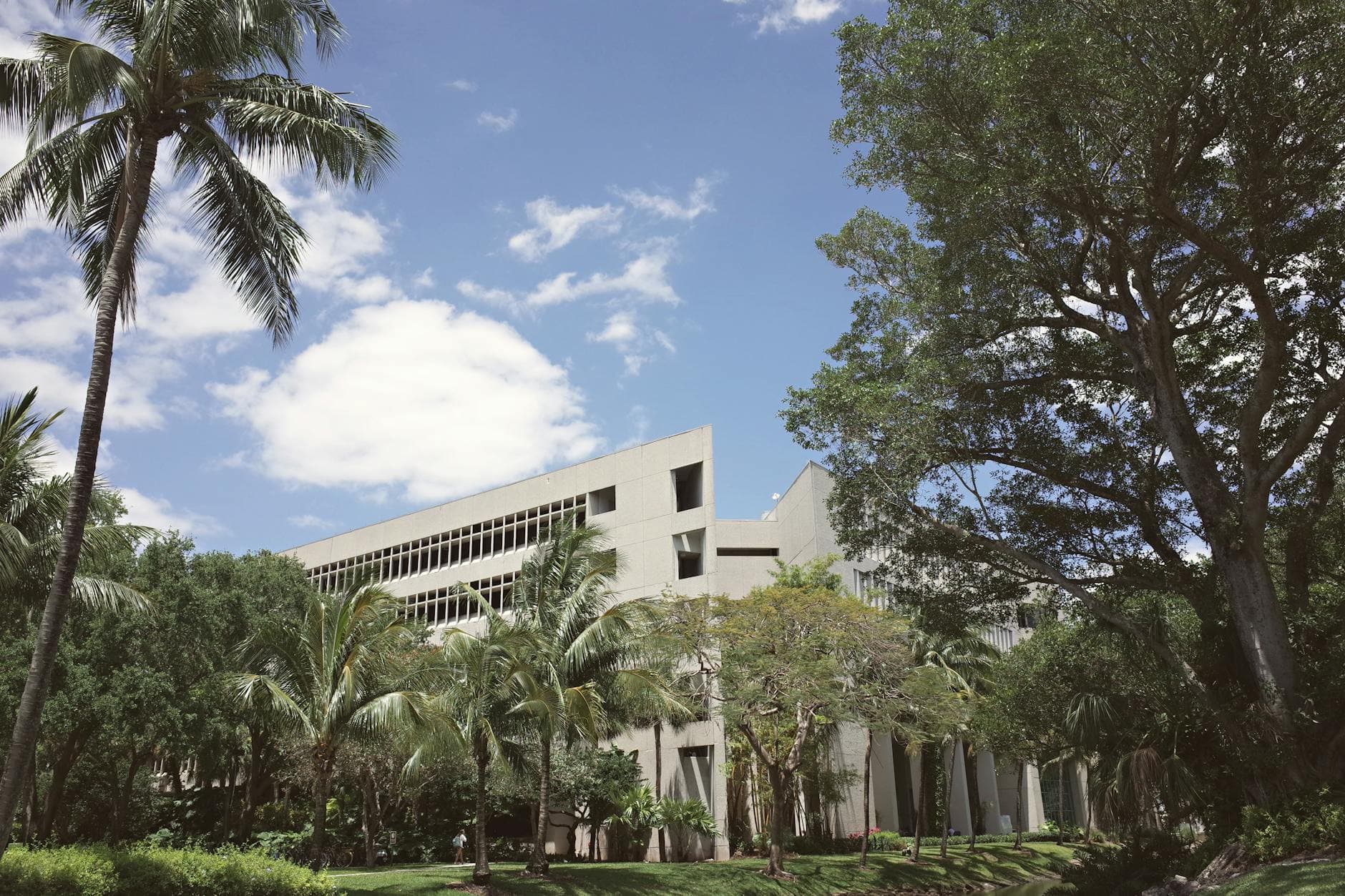 Noninvasive Proton Beam Therapy May Help Treat Dangerous Heart Rhythm Disorder