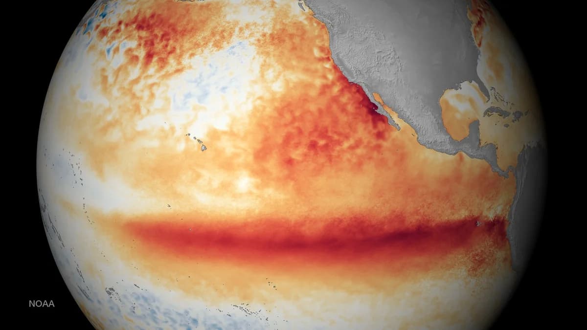 Pacific Warming Trend Sparks Concerns of a “Godzilla” El Niño for Late 2026