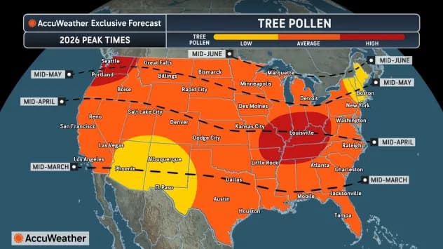 Pollen Explosion: 2026 Allergy Forecast Predicts Intense Spikes Across the United States (Video)