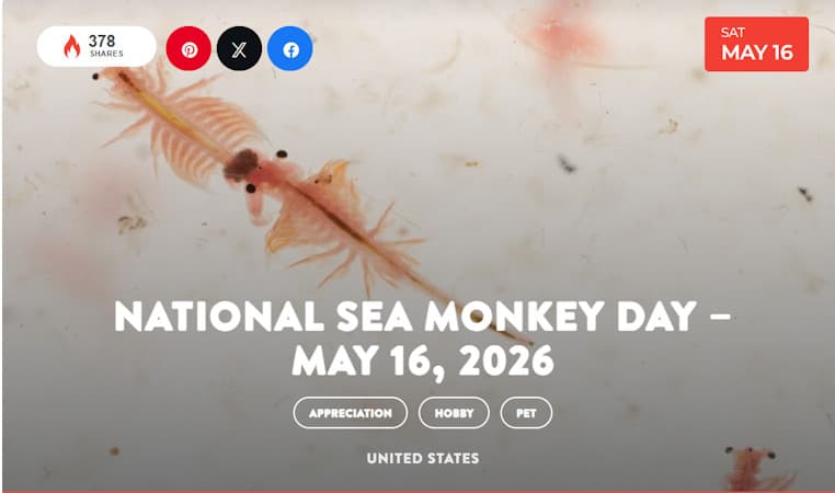 Sea Monkeys Breathe Through Their Feet. When They Need More Oxygen, They Swim Upside Down.