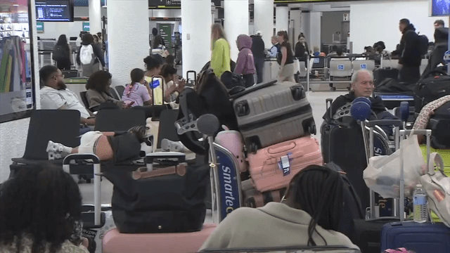 Spirit Airlines shutdown leaves passengers stranded and searching for options