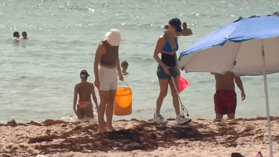Surfrider Foundation leads beach cleanup effort in Miami Beach to tackle pollution post-Independence Day