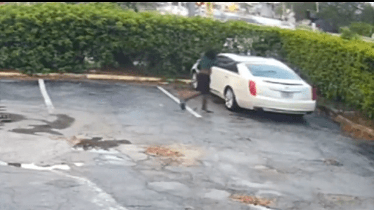 Surveillance video captures armed subject shattering windows of employee cars at Pembroke Park restaurant