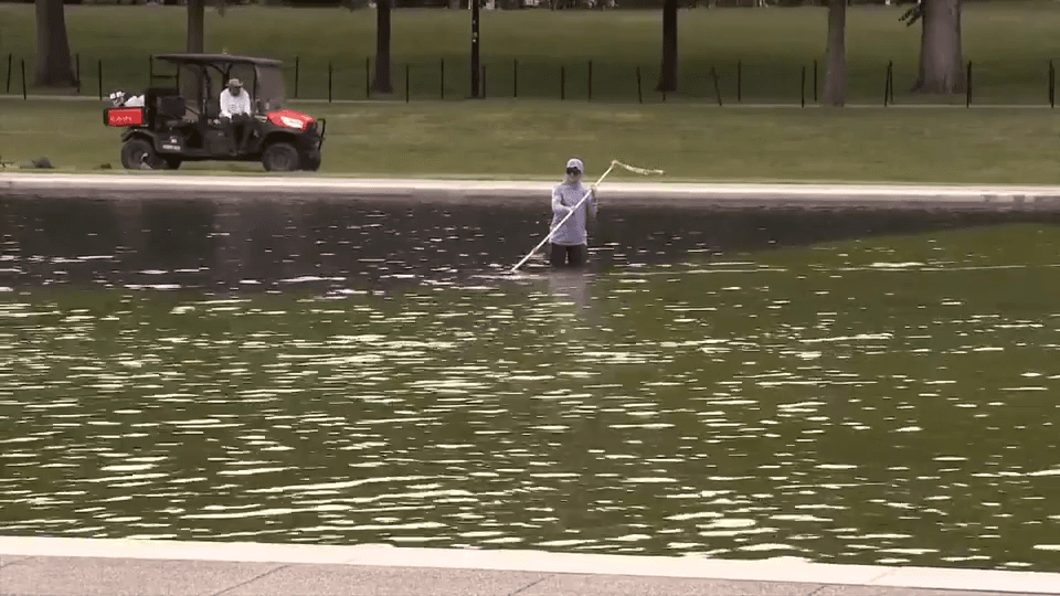 Trump claims vandals will force drainage of algae-plagued Reflecting Pool