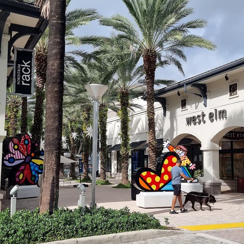 Collection at Midtown Miami