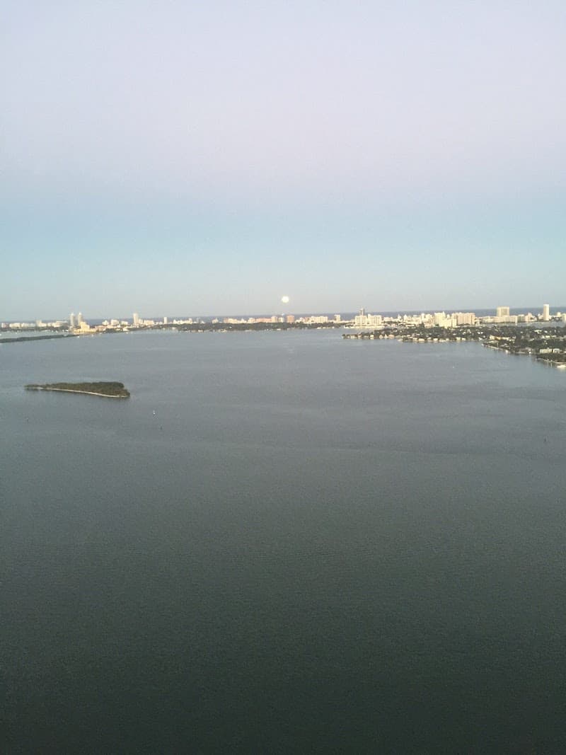 Robles International Realty